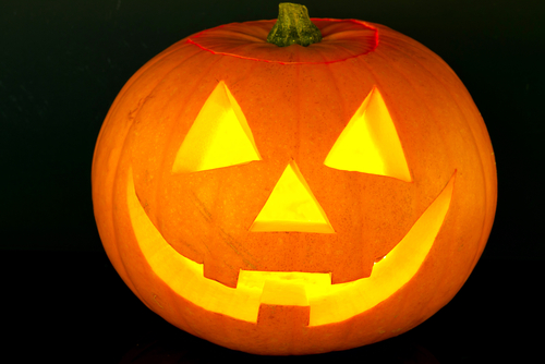 The most expensive Halloween pumpkin in history - Birkacre Garden Centre